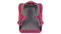 Deuter Deuter Pico Daypack - Kids -Garmin Shop opplanet deuter pico daypack kids hotpink ruby 3604355650 av 2